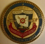 D11 Challenge Coin